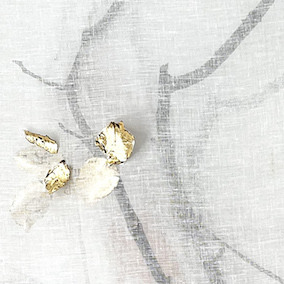 Nature Inside I (Canto alla rosa)